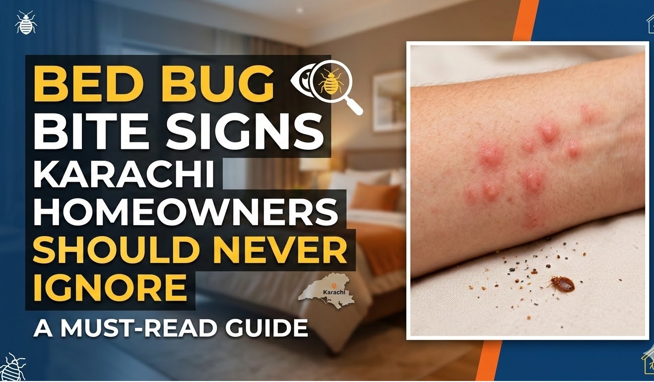 Bed Bug Bite Signs Karachi Homeowners Should Never Ignore