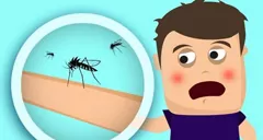 Dengue, Mosquitoes Fumigation in Karachi