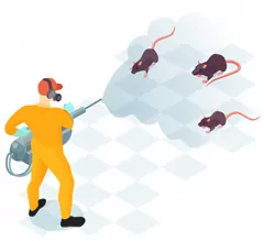 rats control services